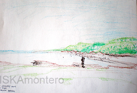 Muriwai Beach